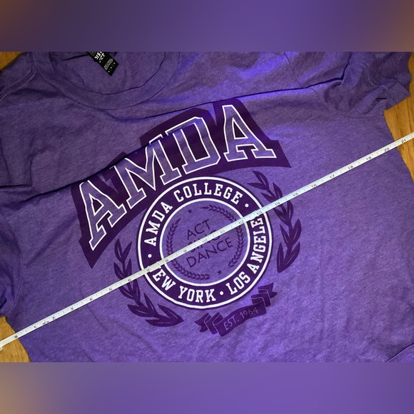 AMDA College Purple t-shirt Sz M american musical dramatic academy NYC LA - Picture 4 of 5